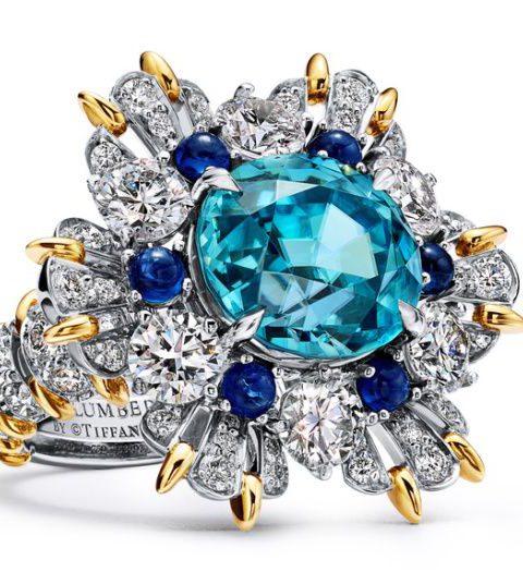 Tiffany & Co. odhaluje Blue Book 2025: Sea of Wonder
