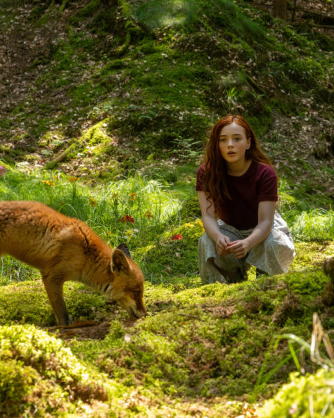 Magie v kinech: Dívka jménem Willow je fantastický pohádkový příběh