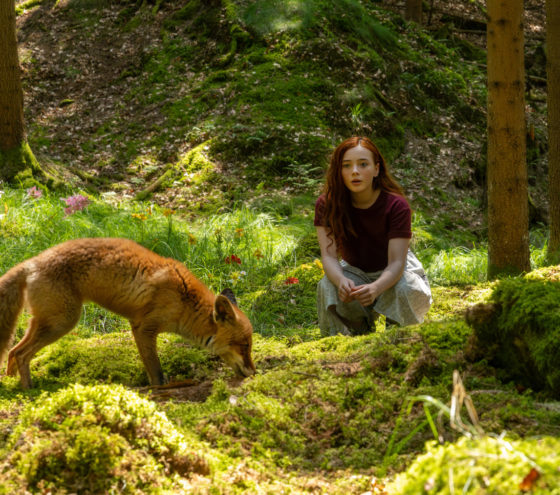 Magie v kinech: Dívka jménem Willow je fantastický pohádkový příběh