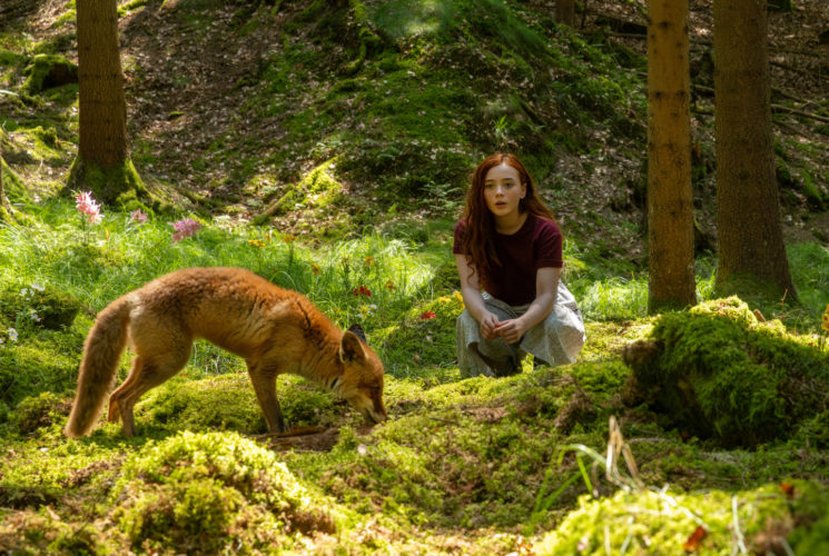 Magie v kinech: Dívka jménem Willow je fantastický pohádkový příběh