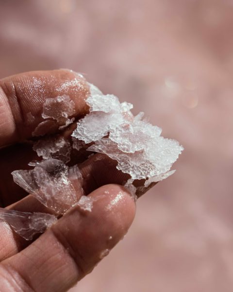 Limitovaná edice Monkey 47 Distiller’s Cut 2025