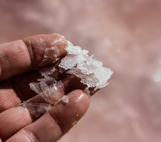 Limitovaná edice Monkey 47 Distiller’s Cut 2025