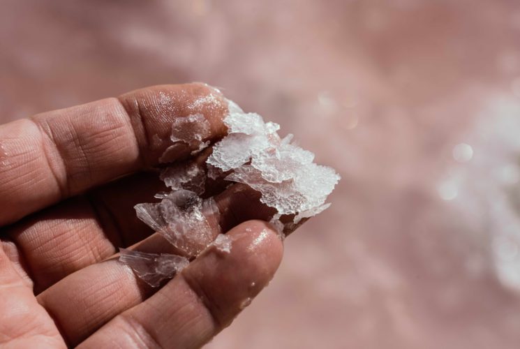 Limitovaná edice Monkey 47 Distiller’s Cut 2025