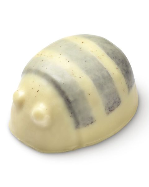 Začněte nový rok rostlinně