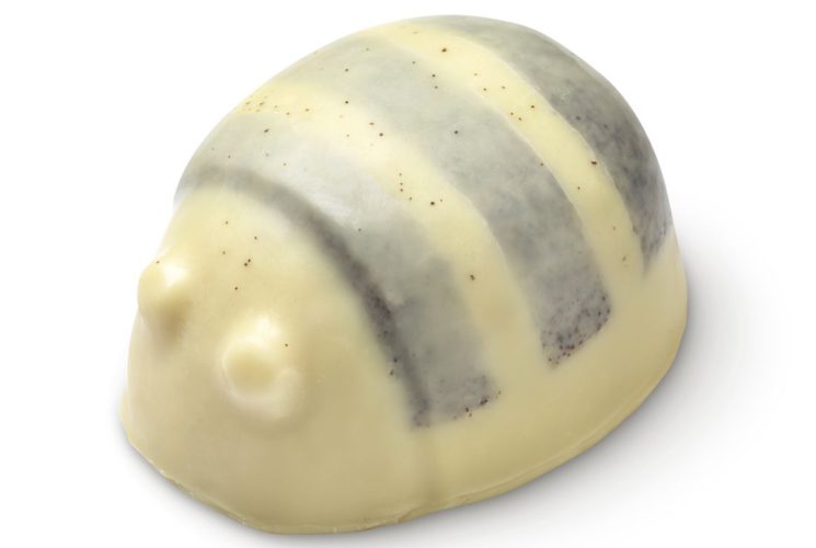 Začněte nový rok rostlinně